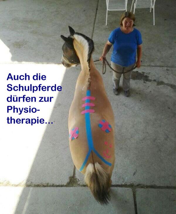 Physiotherapie am Pferd