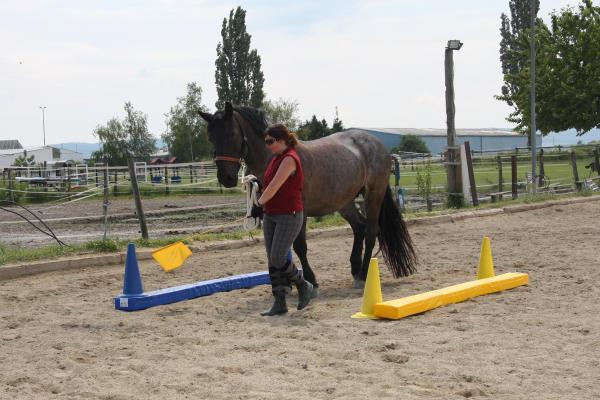 Bodenarbeit mit der Fahne