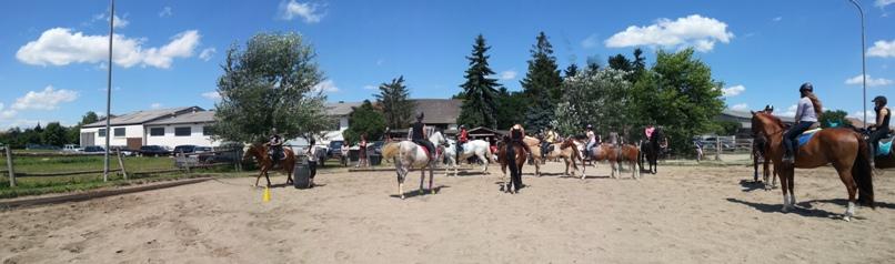 Geschicklichkeitsreiten - was sind unsere Aufgaben...