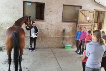 ... und das sind die Ganaschen ....