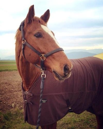 Mikey zwischen den Bewerben...