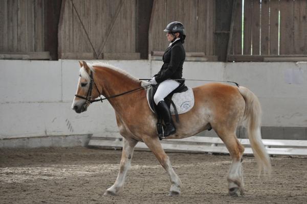 Reithof Gallbrunn in Kapellerfeld