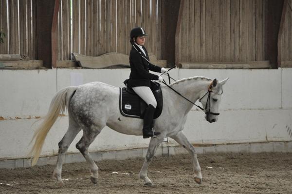 Reithof Gallbrunn in Kapellerfeld