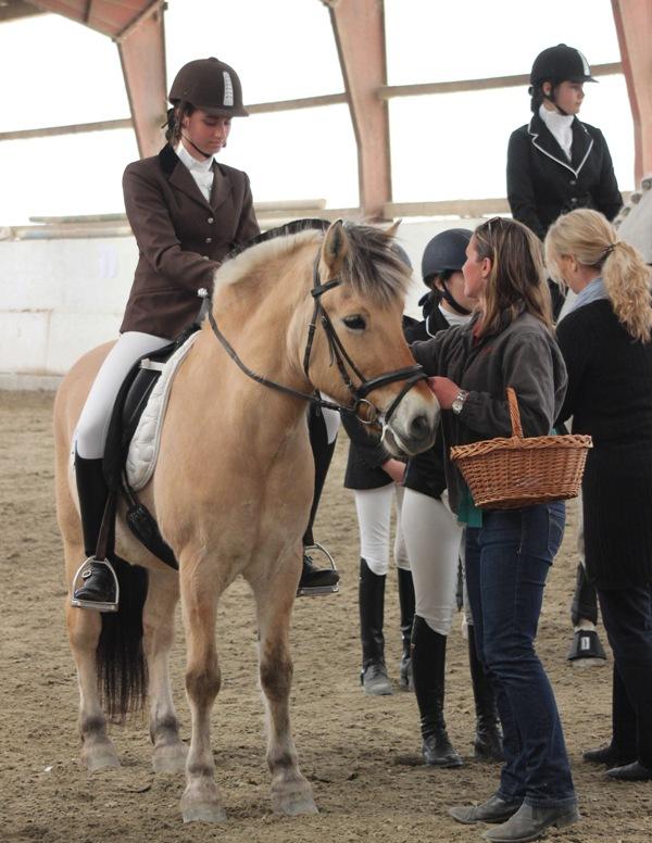 Reithof Gallbrunn in Kapellerfeld