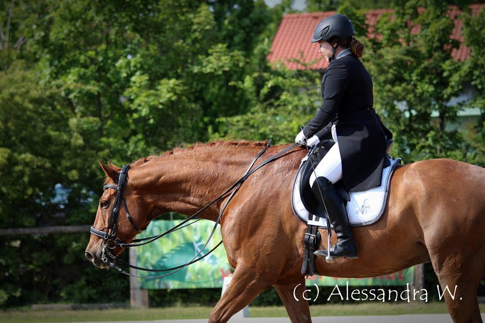 Marli Cermak Wr. Neudorf Mai 2015