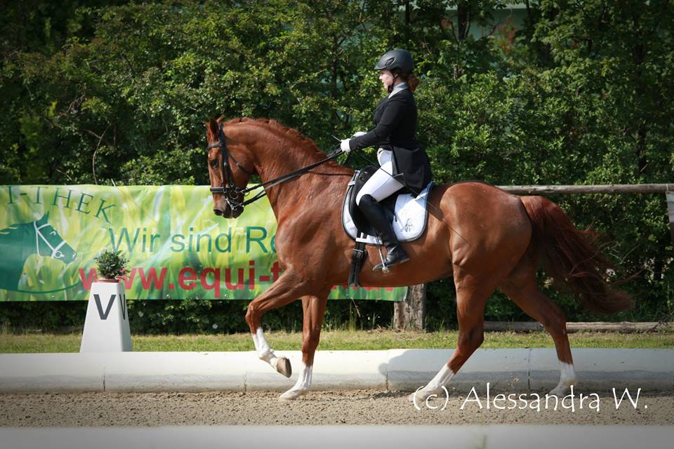 Marli Cermak Wr. Neudorf Mai 2015