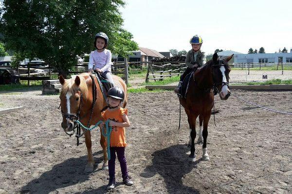 1. Leo - Stalltag Reithof Gallbrunn