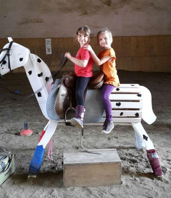 1. Leo - Stalltag Reithof Gallbrunn