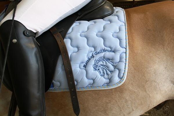 Reithof Gallbrunn in Kapellerfeld