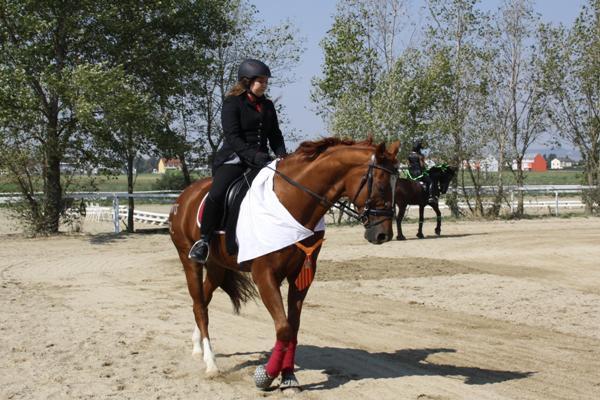 Reithof Gallbrunn in Kapellerfeld: Musikk&uuml;r