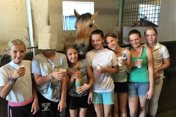 Fotos: Reithof Gallbrunn