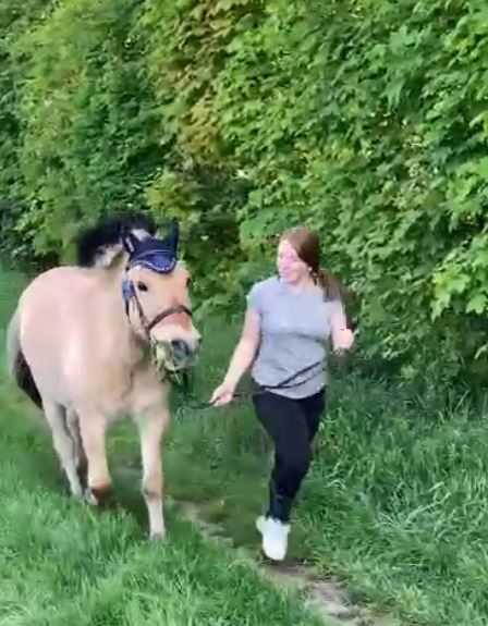 Video Kaino - Reithof Gallbrunn