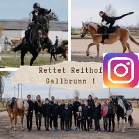Reithof Gallbrunn