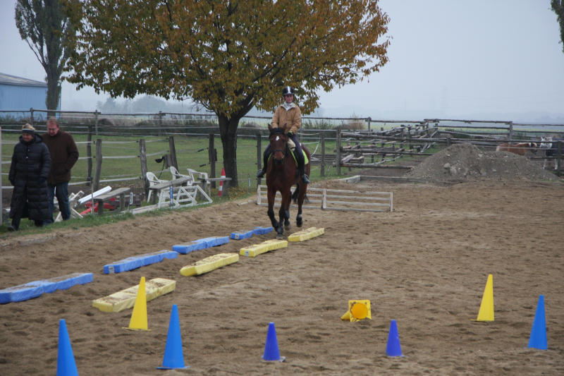 Training mit Dualbahnen und Pylonenzirkel
