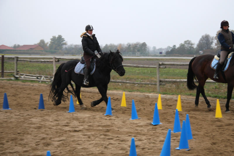 Training mit Dualbahnen und Pylonenzirkel