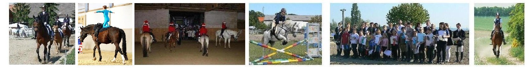 Reithof Gallbrunn: Reitunterricht * Dressur * Voltigieren * Reitfeste * Springen * Reitcamps * Ausritte