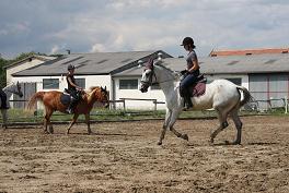 Reitunterricht von der Longe �ber Bahnstunden in der Gruppe bis zu individuellem Dressur-Unterricht
