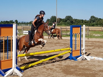 Reithof Gallbrunn - Springunterricht; 2019