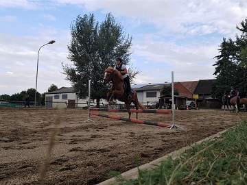 Reithof Gallbrunn - Springunterricht; 2019