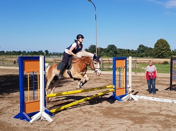 Reithof Gallbrunn - Springunterricht; 2019