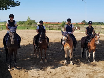 Reithof Gallbrunn - Springunterricht; 2019