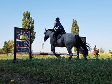 Reithof Gallbrunn - Springunterricht; 2019